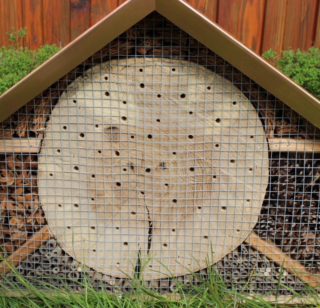 Insektenhotel Deteilansicht